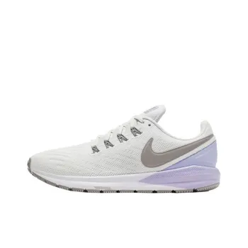Nike Air Zoom Structure 22 'Platinum Tint Atmoshpere Grey' Women's