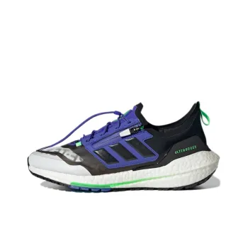 Adidas UltraBoost 21 GORE TEX 'White Sonic Ink'