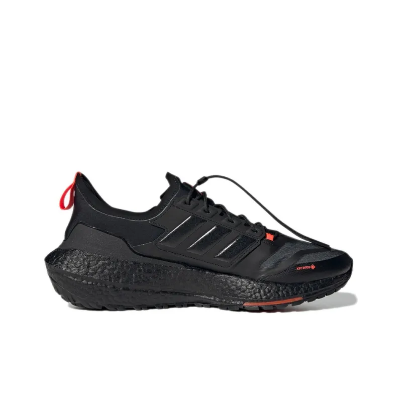 Adidas Ultra Boost 21 Gore Tex Carbon-1