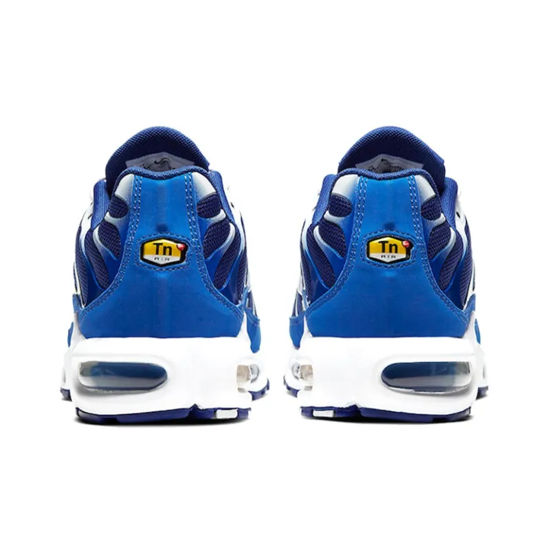 Nike Air Max Plus Arctic Chill-4