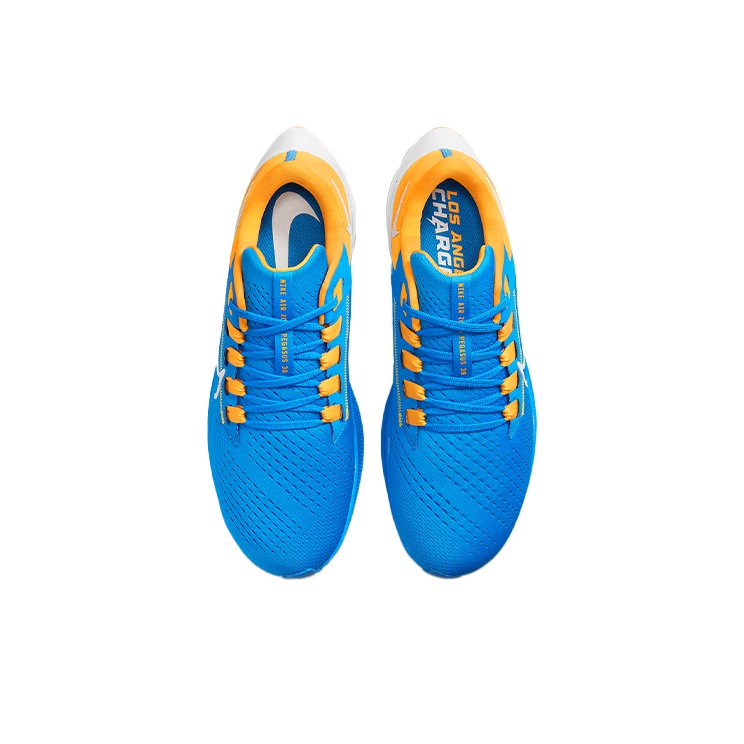 nike pegasus 38 chargers
