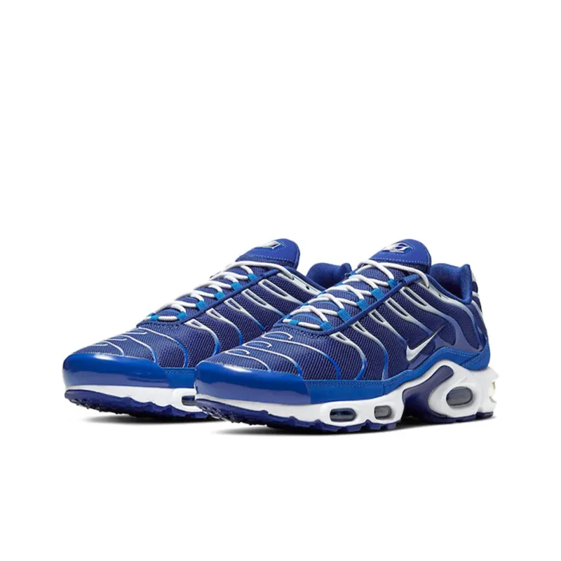 Nike Air Max Plus Arctic Chill-2