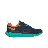 Hoka Speedgoat 4 GTX