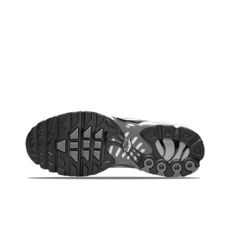 Nike Air Max Plus Tn Nerf Women's-6