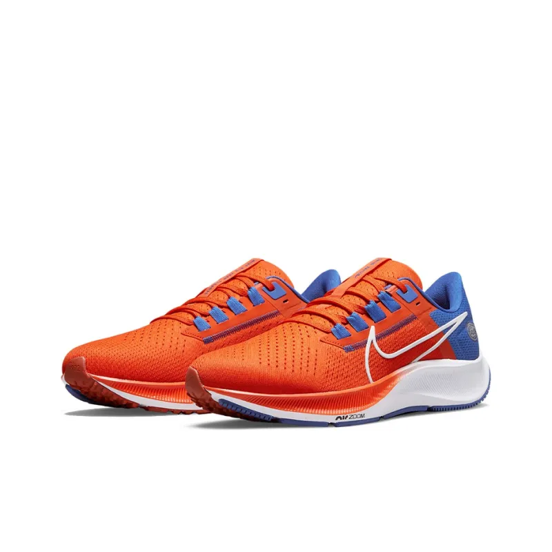 Nike Air Zoom Pegasus 38 'Florida'-2