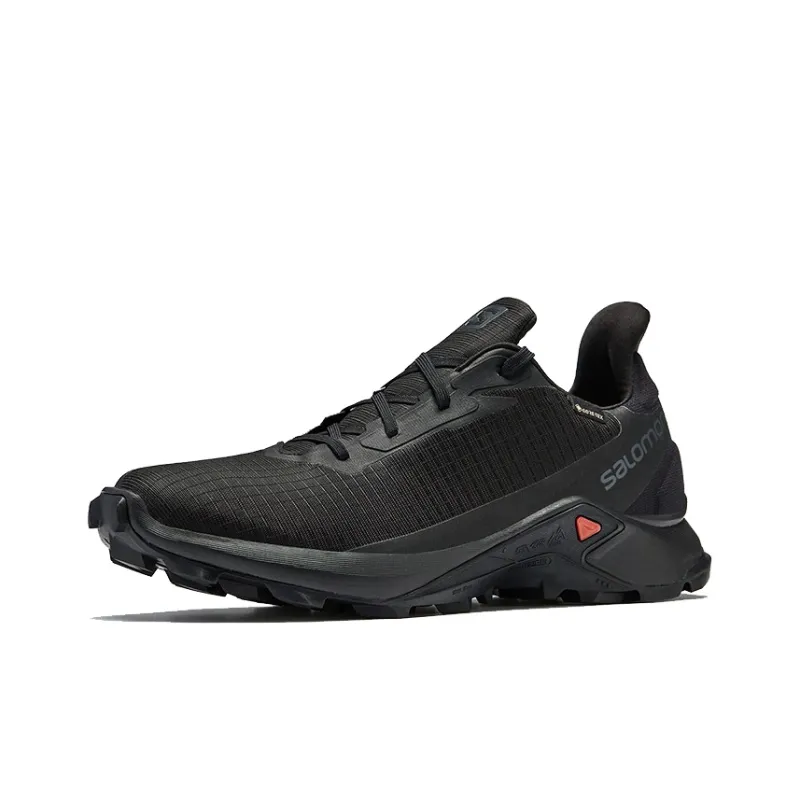 SALOMON Alphacross 3 Gtx 'Black' / L00-1
