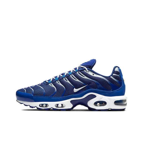 Nike Air Max Plus Arctic Chill