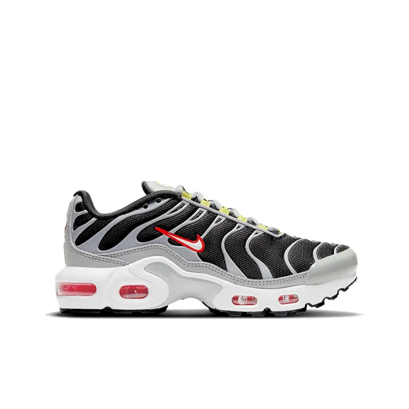 Nike Air Max Plus Dark Smoke Grey GS-1