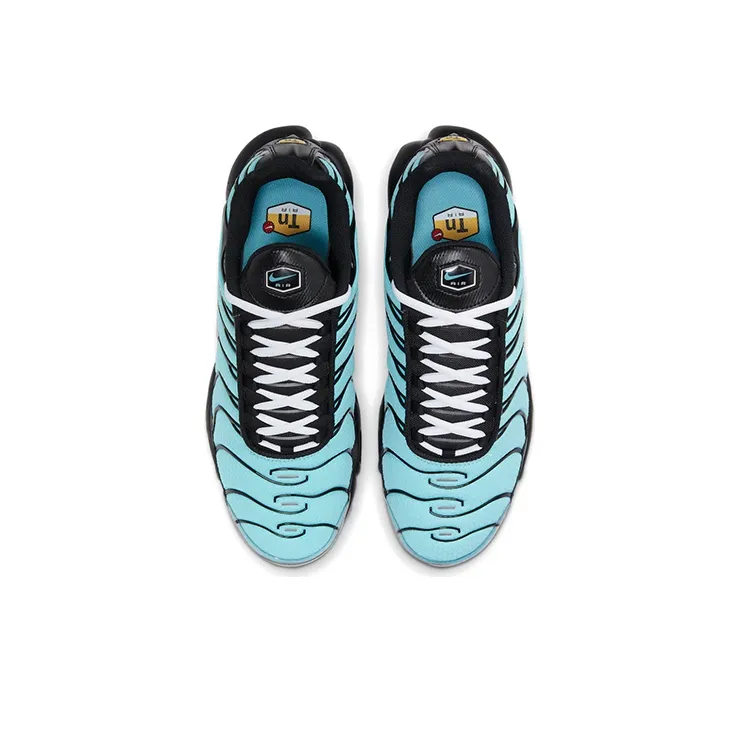Nike Air Max Plus Aqua Blue-3