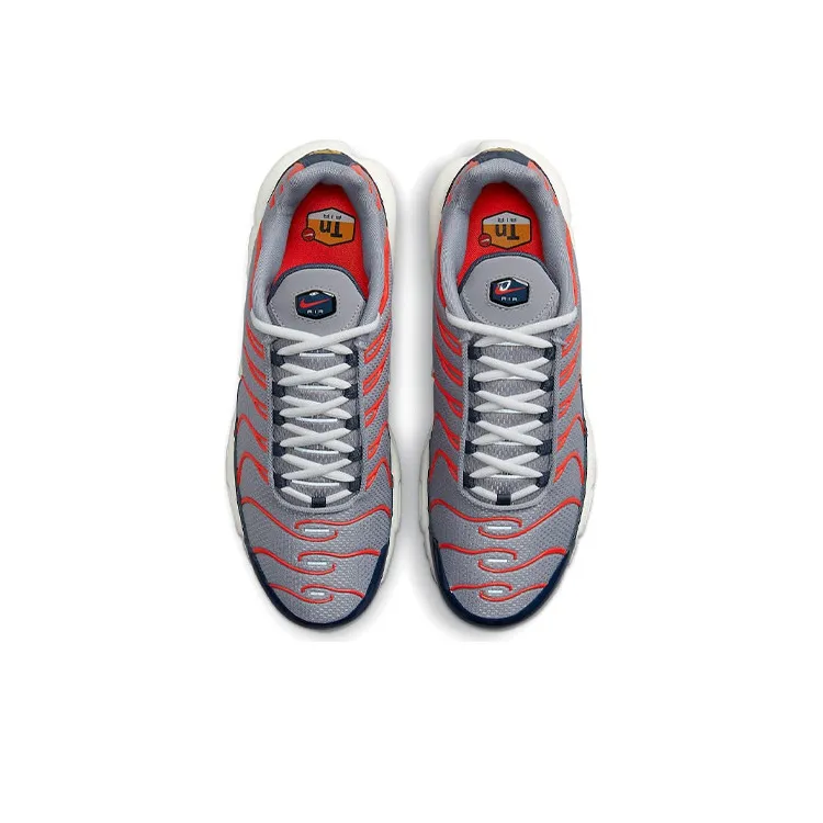 Nike Air Max Plus Usa Grey-2