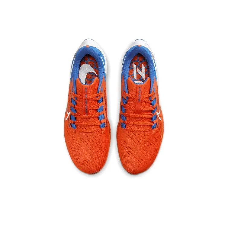 Nike Air Zoom Pegasus 38 'Florida'-3