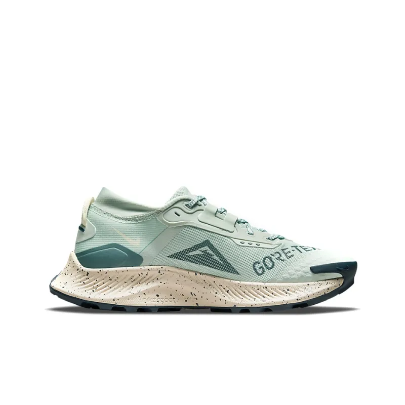 Nike Pegasus Trail 3 Gore Tex Seafoam Women's-1