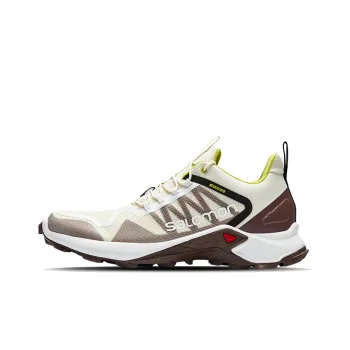 SALOMON Speedcross Asphalt Running Shoes Men Low-Top White/Brown