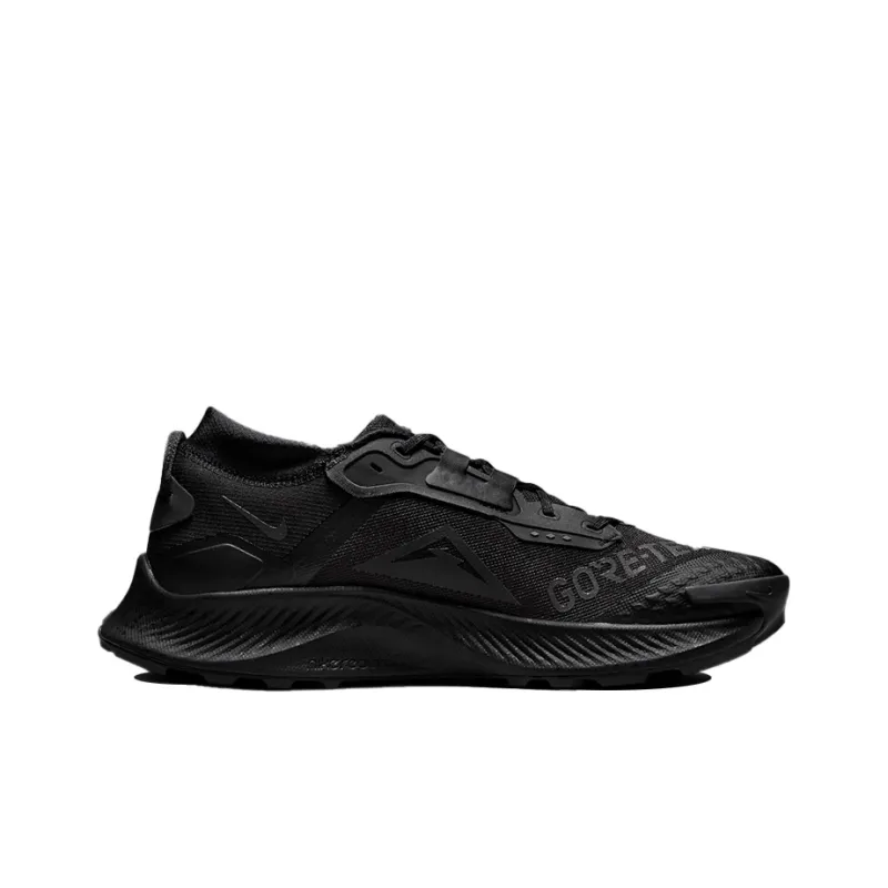 Nike Pegasus Trail 3 Gore Tex Black Dark Smoke Grey-1