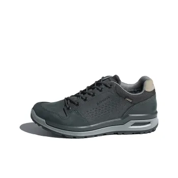 Lowa Hiking / Trekking Shoes Unisex Low Top Smoke Gray