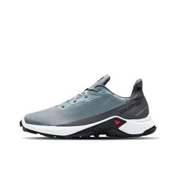 SALOMON Alphacross 3 Low-Top Running Shoes Men's Gray Blue