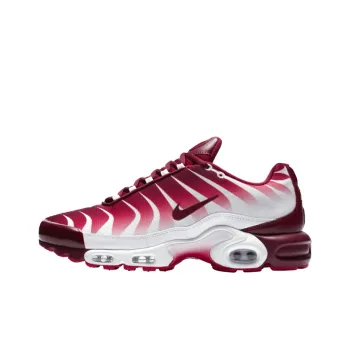 Nike Air Max Plus After The Bite
