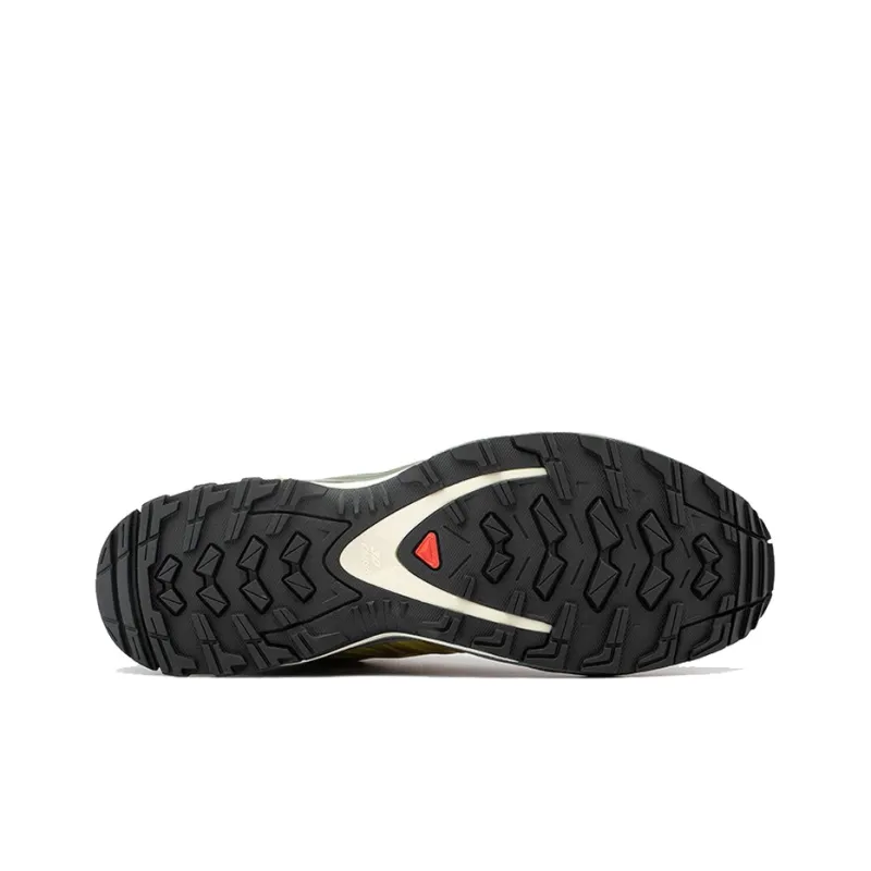SALOMON XA-Pro Fusion ADV 'Arrowwood'-4