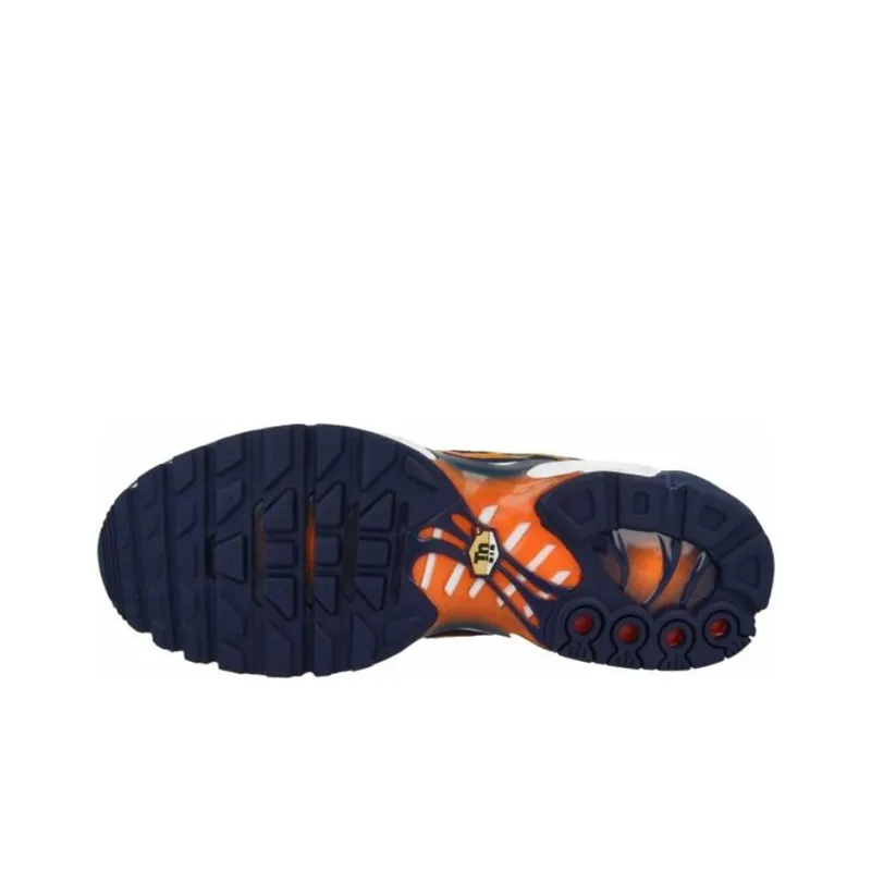 Nike Air Max Plus Blue Void University Gold-4