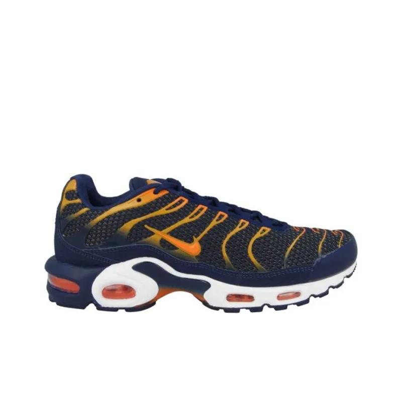 Nike Air Max Plus Blue Void University Gold-1