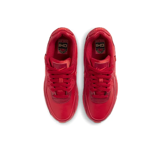 Nike Air Max 90 City Special Chicago GS-3