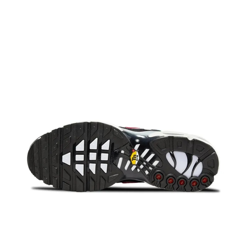 Nike Air Max Plus 'Anthracite Hasta'-5