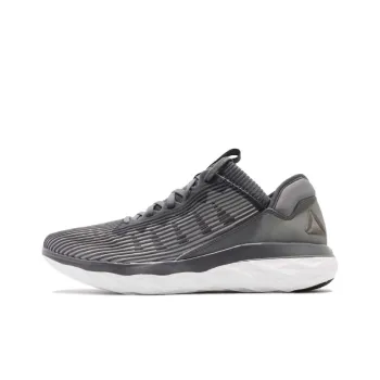 Reebok Astroride Forever Running Shoes Men Low-Top Gray