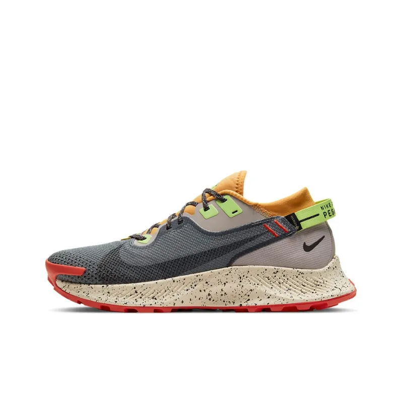 Nike Pegasus Trail 2 Gore Tex Smoke Grey Bucktan-0
