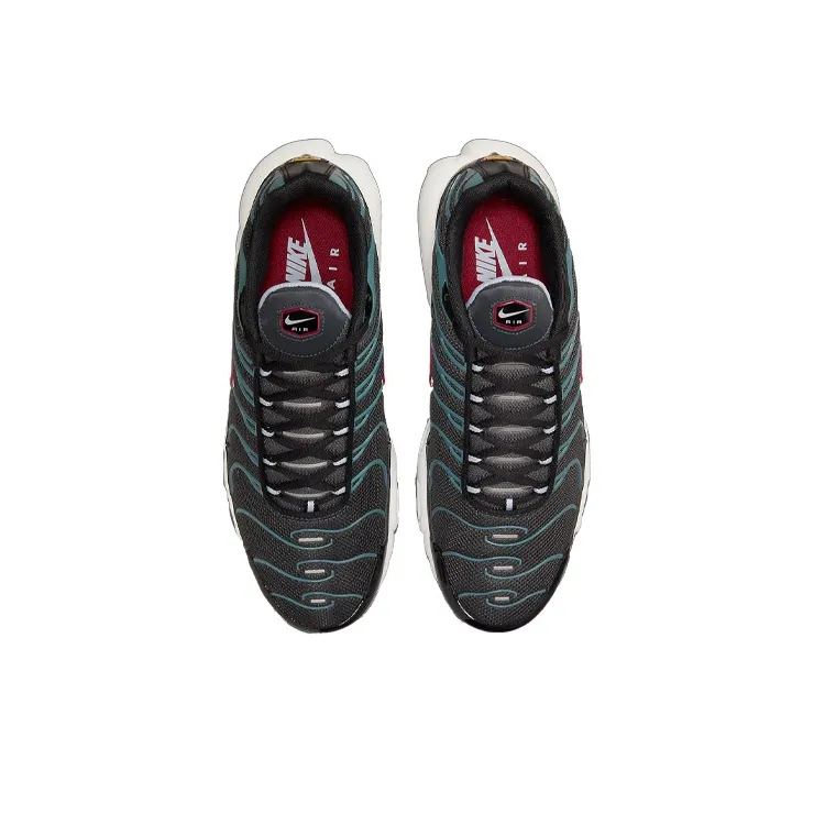 Nike Air Max Plus 'Anthracite Hasta'-3