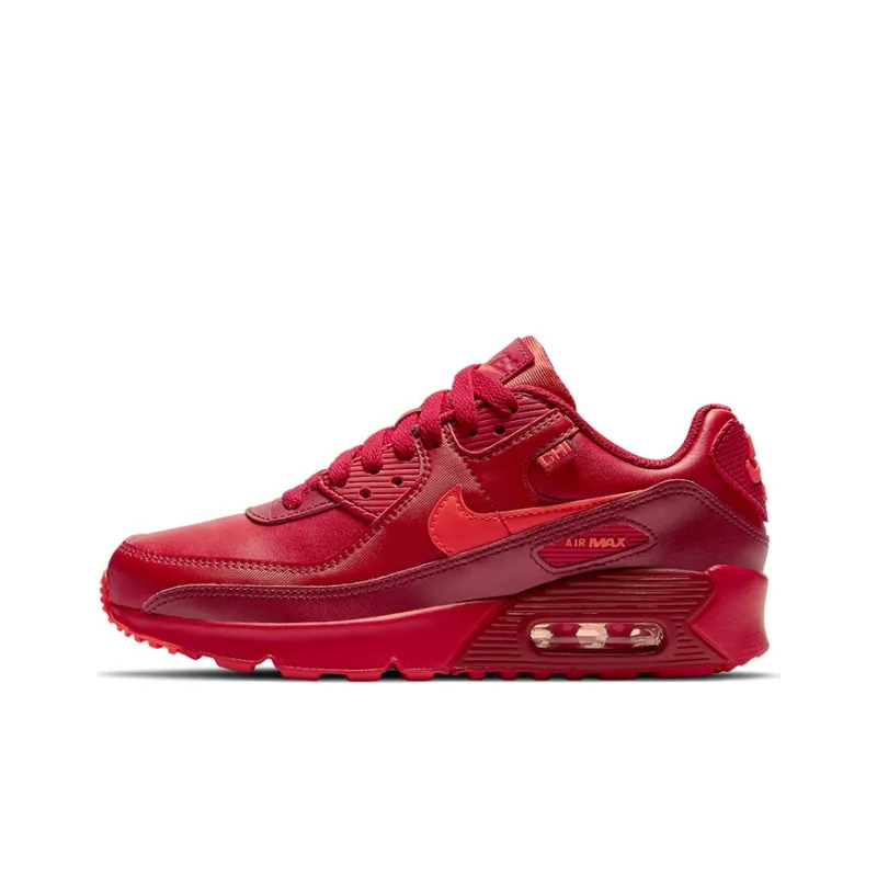 Nike Air Max 90 City Special Chicago GS-0