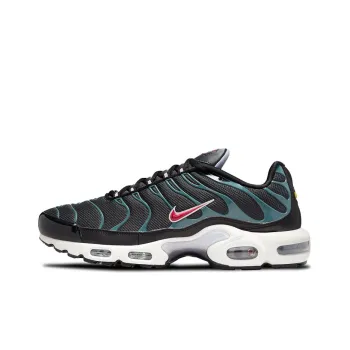 Nike Air Max Plus 'Anthracite Hasta'