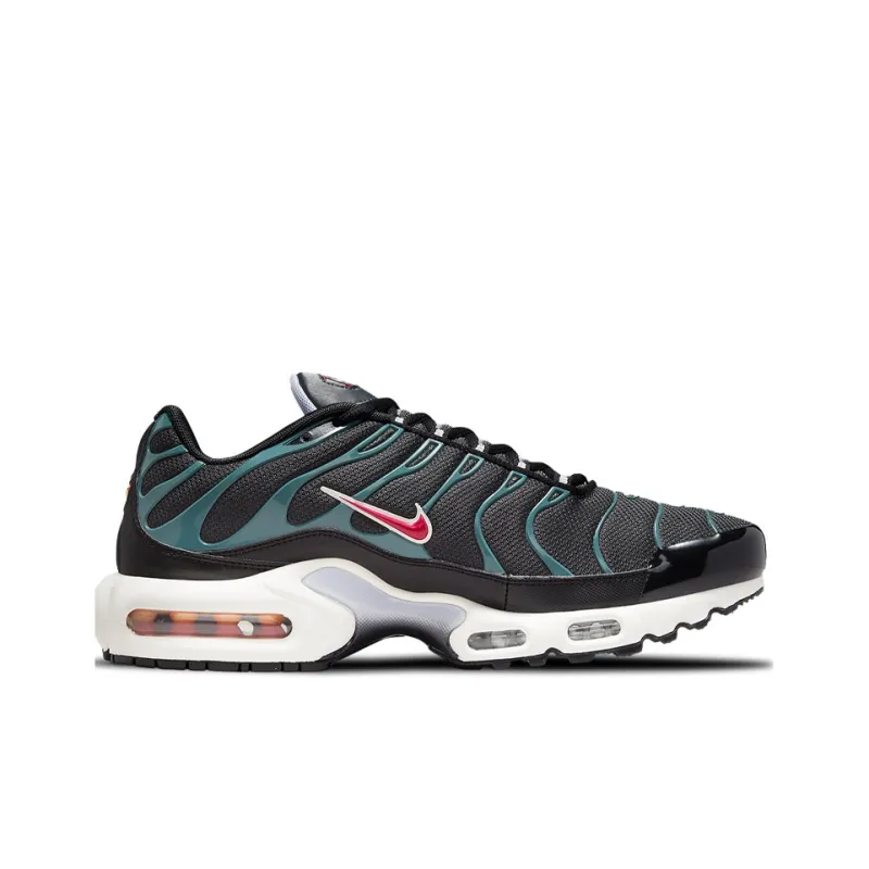 Nike Air Max Plus 'Anthracite Hasta'-1