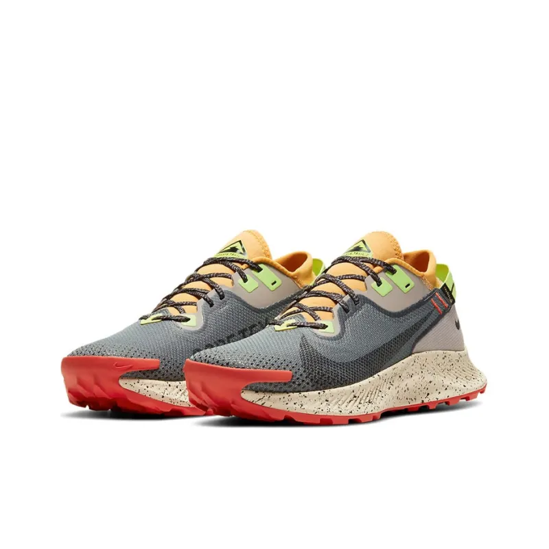 Nike Pegasus Trail 2 Gore Tex Smoke Grey Bucktan-2