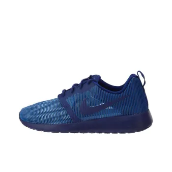Nike Roshe One Flight Low Top Blue Gs