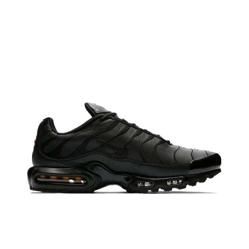 Nike Air Max Plus Triple Black Leather-1