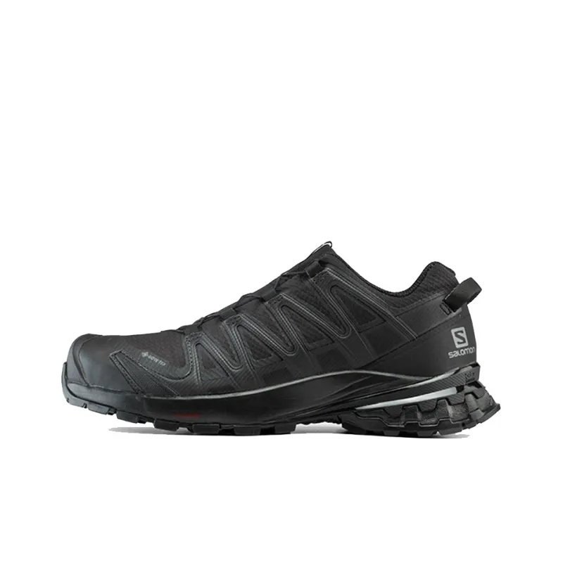 SALOMON Xa Pro 3D V8 Gore Tex Black-0