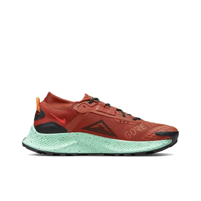 Nike Pegasus Trail 3 Gore Tex Rugged Orange-1