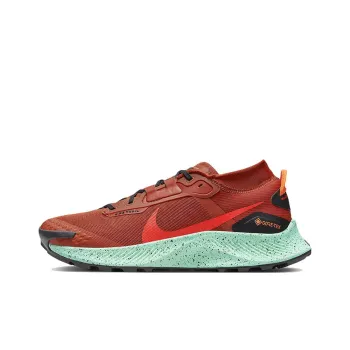 Nike Pegasus Trail 3 Gore Tex Rugged Orange