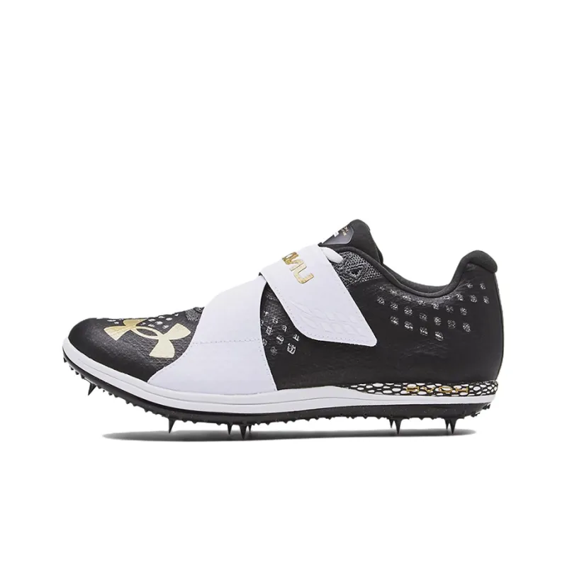 Under Armour Hovr Skyline Low Top Black-0
