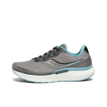 saucony Women's Triumph 19 'Alloy Powder'