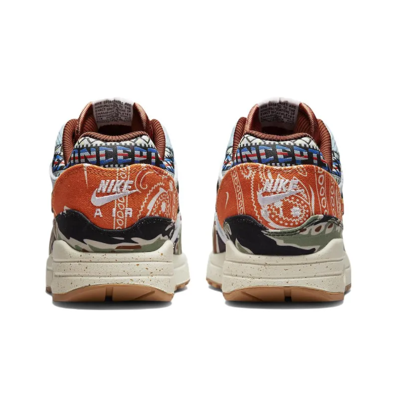 Nike Air Max 1 Sp Concepts Heavy-4
