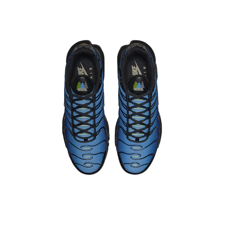 Nike Air Max Plus Black University Blue-3