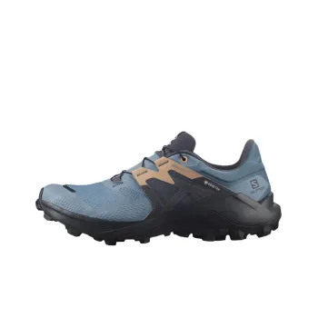 SALOMON Wildcross 2 Gore Tex / L00Women's