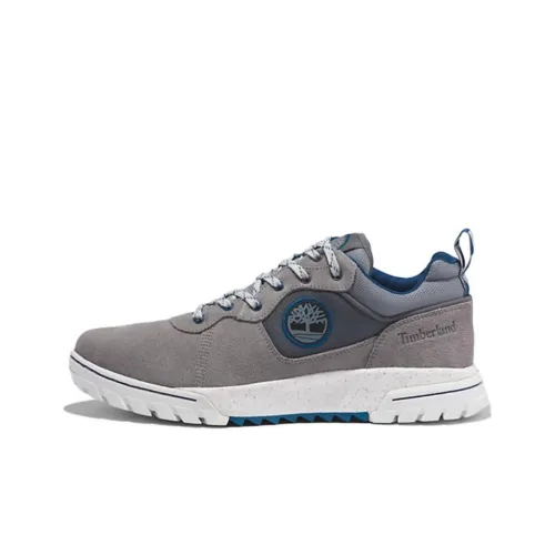 Timberland Boulder Casual Shoes Men Low-Top Gray/Blue