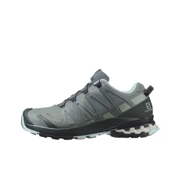 SALOMON XA Pro 3D V8 Wear-Resistant Low-Top Running Shoes Women's Gray Green