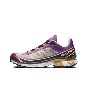 SALOMON XT 6 Ft 'Grey Purple Brown'
