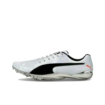 PUMA EvoSPEED Electric 10 'Grey'