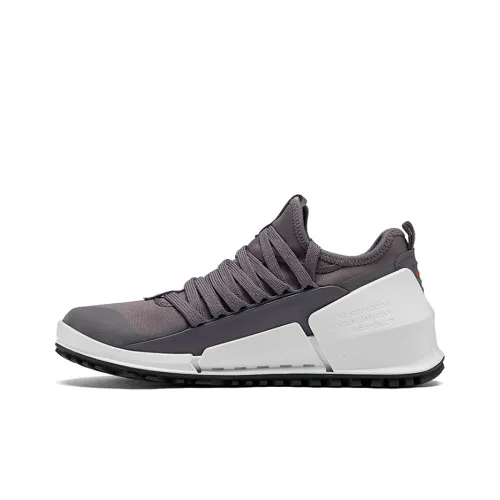 Ecco Casual Shoes Women's Low-Top Rock Purple Gray