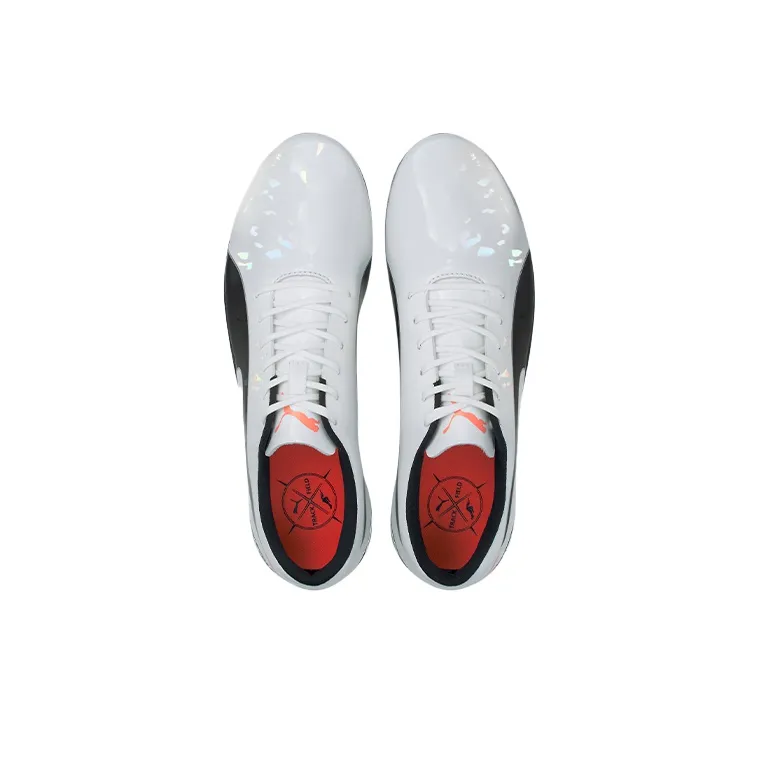 PUMA EvoSPEED Electric 10 'Grey'-2