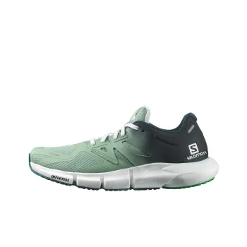 SALOMON Predict 2 Wear-Resistant Low-Top Running Shoes Men's Black Green Gradient